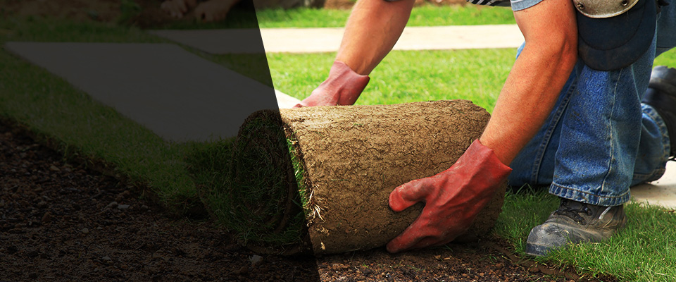 Dubuque Landscapers